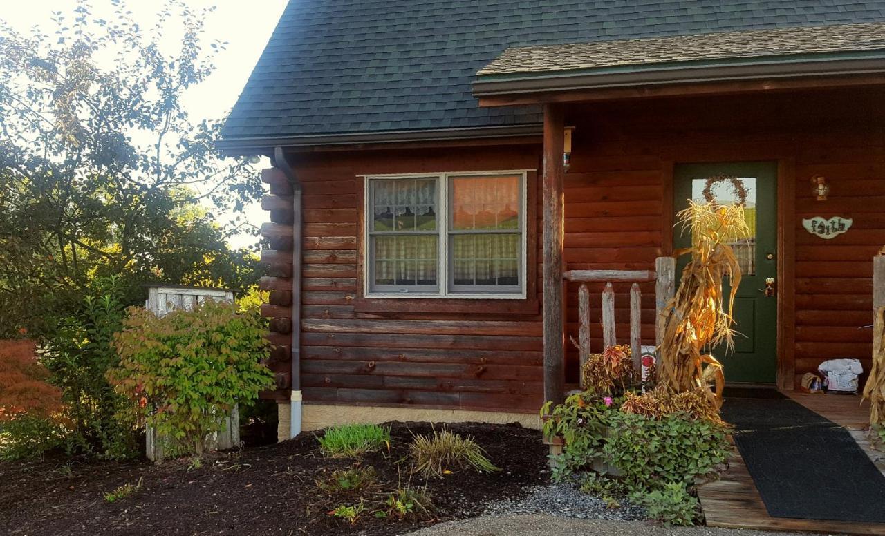 ميلزبورغ Amish Blessings Cabins المظهر الخارجي الصورة